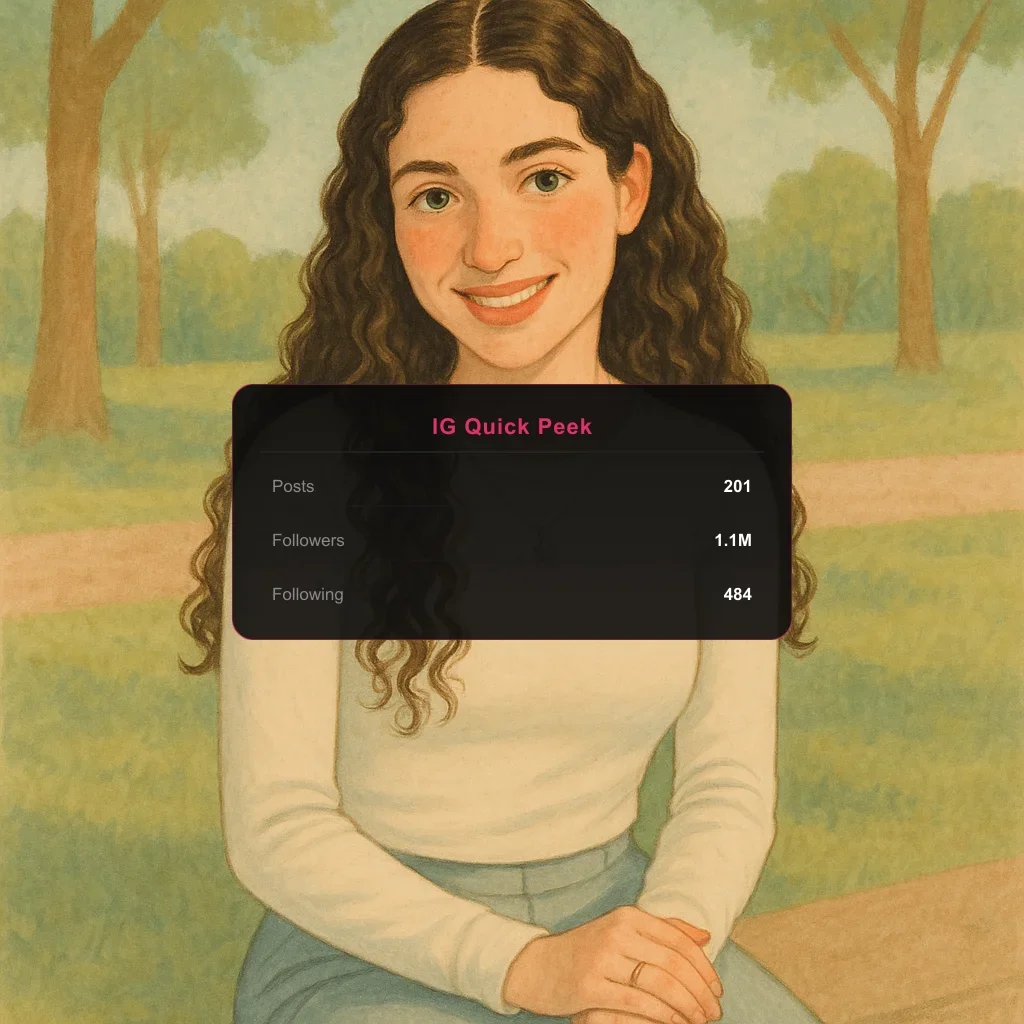 gali gool instagram quick snapshot of metrics